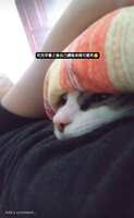 https://images.plurk.com/144TZSIsNsbfJP2MamACqY.png