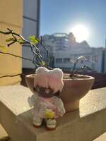 https://images.plurk.com/1453nfMNIMB0kF66SePo9G.jpg