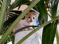 https://images.plurk.com/1461W6TRsJsWQ0RThMXSeE.jpg