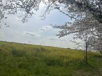 https://images.plurk.com/146OXex6rPhLrqxa617uEF.jpg