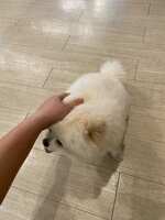 https://images.plurk.com/14DMKexh8fFON5n7gu0cNw.jpg