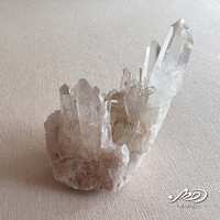 https://images.plurk.com/14J0H863dJCBabbCXohtVo.jpg