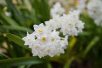 https://images.plurk.com/14KbbhdPaJWmjGAQVuyrbR.jpg