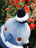 https://images.plurk.com/14MkmejkPZFhV54BsktQTs.jpg