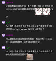 https://images.plurk.com/14Mm8b7aKAE6Z2GVEer4I6.jpg