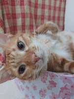 https://images.plurk.com/14aI0msyfeODYrF7LvIaam.jpg