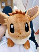 https://images.plurk.com/14bup7AskY8HvMo4RV0T2a.jpg