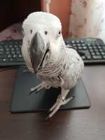 https://images.plurk.com/14j1oeWA7kYpsq1o7fDmMq.jpg