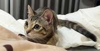 https://images.plurk.com/14kf4WeAJ68nAt6EkKPVBg.jpg
