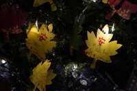 https://images.plurk.com/14lupo9bblCSbWsRkIvHjn.jpg