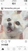 https://images.plurk.com/14m3y1Cg7VuIUCHvkhvF.jpg