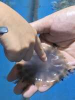 https://images.plurk.com/14phPxoKVi3NmucwDoJWRA.jpg