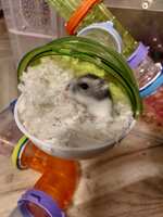 https://images.plurk.com/14tBqmTJJSyiagX5kSc6Ip.jpg