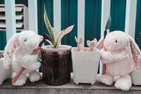 https://images.plurk.com/14u5hvEWusfTiuLc8nzNjq.jpg