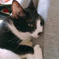 https://images.plurk.com/150ChPEKUyZqpiRkMWtLuD.jpg