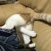 https://images.plurk.com/150mFrW4A3j5U6PktPYz1a.jpg