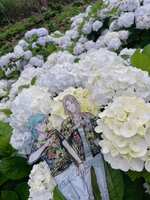 https://images.plurk.com/151Rma2DWUKBtXECotGBQN.jpg