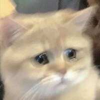 https://images.plurk.com/156fCNZpQxii4CEixOg2vC.jpg
