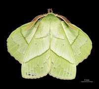 https://images.plurk.com/157FuqysKgmx3c8LTdgE8S.png