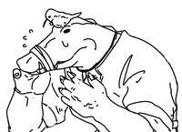 https://images.plurk.com/15AVCiC7fp65SjDYf1akQc.png