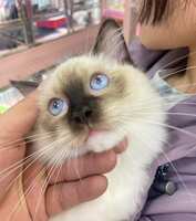 https://images.plurk.com/15DlZ36gNcmNk39M70NfDt.jpg