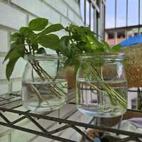 https://images.plurk.com/15LCB5YbjnkdJRRvxyZE25.jpg