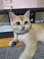 https://images.plurk.com/15XtXJQHt4rB6dyg0DAjV6.jpg