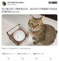 https://images.plurk.com/15YW0vauI3ggqYouAs9hEQ.jpg
