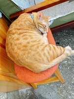https://images.plurk.com/15b8JnuOGjBN6hdTImfklq.jpg