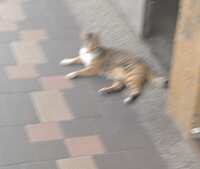 https://images.plurk.com/15kldiWXuMpMmVFYr2Y8km.jpg