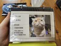 https://images.plurk.com/15kt89QplkDk1XUNrD3VuF.jpg