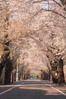 https://images.plurk.com/15qqCMXBg8JQaMsFcuiGZQ.jpg