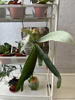 https://images.plurk.com/15rW6GJitU7Bto52izofn6.jpg