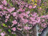 https://images.plurk.com/15rqgRloIKRy2ed46zQM5d.jpg