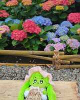 https://images.plurk.com/15upvtkV1iTcWPnYkD9hKw.jpg