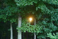 https://images.plurk.com/15xzjgqfg5Re45dg1jp7qg.jpg