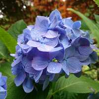 https://images.plurk.com/161ERSmJnoN4e57zYouyS4.jpg