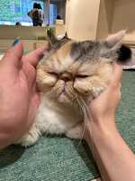 https://images.plurk.com/164WdZMWFHwbpov6pVh4kP.jpg