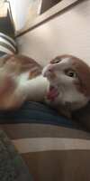 https://images.plurk.com/16COt7yb5t9LiLBV4eCbDG.jpg
