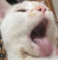 https://images.plurk.com/16Fg64dU2k2uup4mGzfsPU.jpg