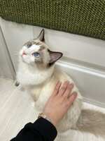 https://images.plurk.com/16Slvi0mLhpzhBfdV8FdUI.jpg