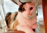 https://images.plurk.com/16TAdfqKFWUVIqO3sktloj.jpg