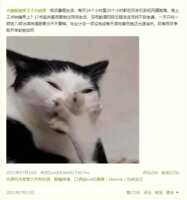 https://images.plurk.com/16oqJQNq7MMY0EQfoFCgPI.png