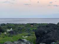 https://images.plurk.com/16rH6x2HiYhajwl7NU7g1I.jpg