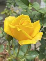 https://images.plurk.com/16sBGHBirQum6bBSg2d5ij.jpg