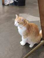 https://images.plurk.com/16v7pDmiJGs49T6pHbgWMi.jpg