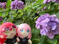 https://images.plurk.com/174kpIlmCH96jD8bL3BNDT.jpg