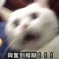 https://images.plurk.com/179w89Z9YjeqIiNA6dnqRA.jpg