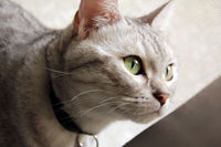 https://images.plurk.com/17A5wuuSbh6Au8ViWBMkZR.jpg