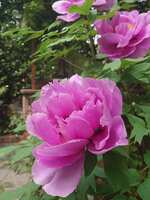 https://images.plurk.com/17F9ahcQh30DcaQuphm7Gm.jpg